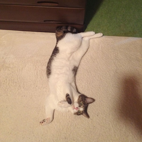 20140821-0824 1.jpeg